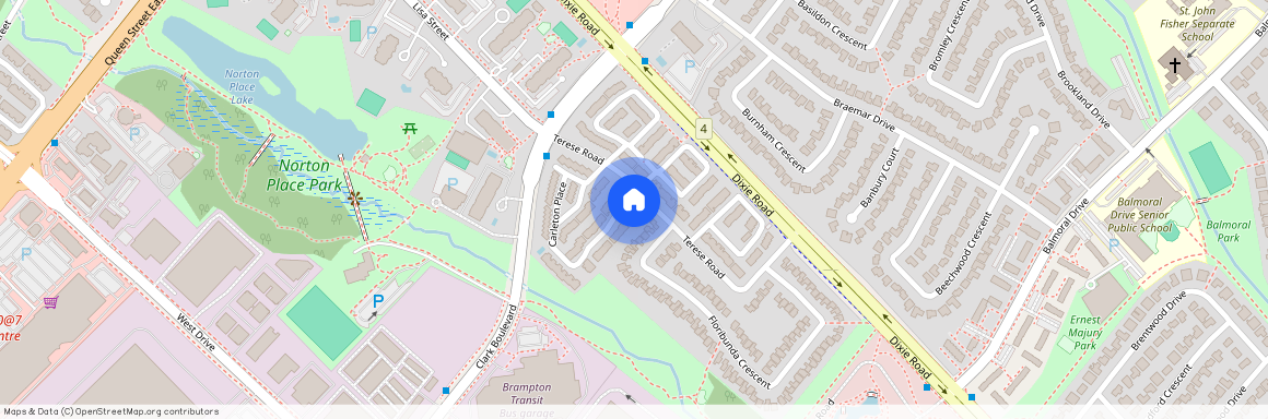 96 Carleton Place, Brampton