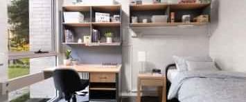 Single Room - Menzies College - Photo 1