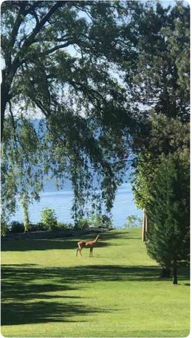 For Lease - 63 Sylvan Avenue Unit# Bsmt, Toronto, Ontario - Photo 3