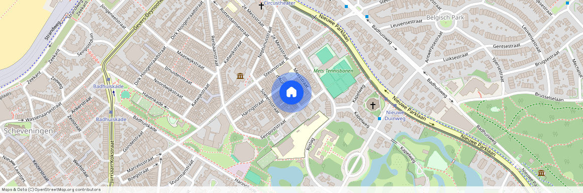 d'Aumeriestraat, 2586XM, Den Haag