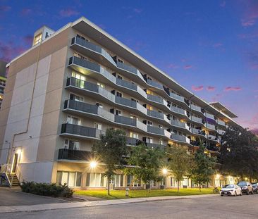 324 Cambridge, Centretown, Ottawa, ON - Photo 6