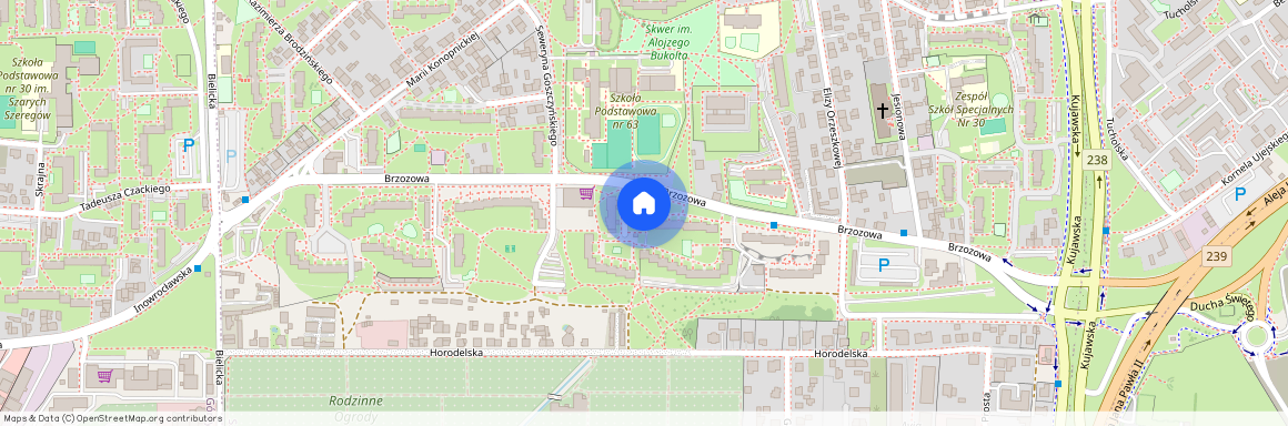 Brzozowa 19, Szwederowo, Bydgoszcz, kujawsko-pomorskie