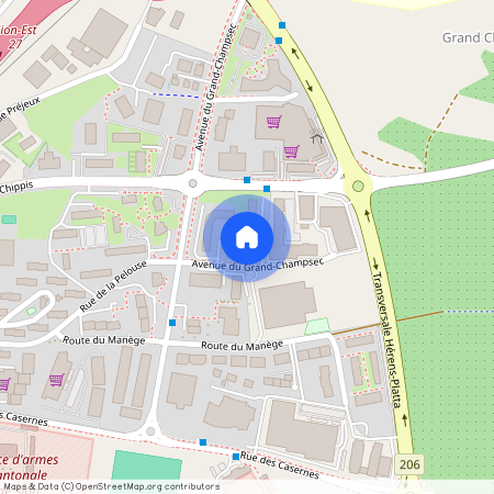 1950, Sion, Avenue Du Grand-Champsec, 18a