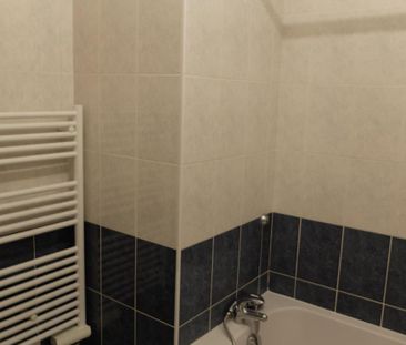 Location Appartement 2 pièces 48m² ST MARTIN D HERES 38400 - Photo 3