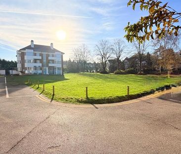 Flat share to rent - Photo 5