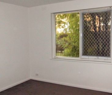 Spacious private courtyard awaits - Photo 1