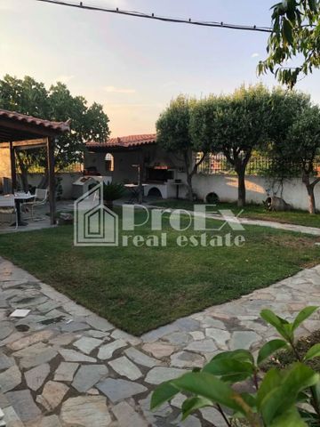 Μονοκατοικία για ενοικίαση - Σπάτα, - Photo 5