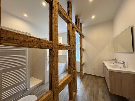 À LOUER ! Très bel appartement familial de 194 m² avec terrasse, Strasbourg - hypercentre - Photo 4