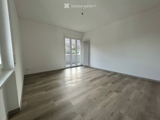 2.5 Zimmer - Photo 1