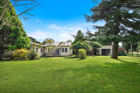 Rural lifestyle - Photo 3