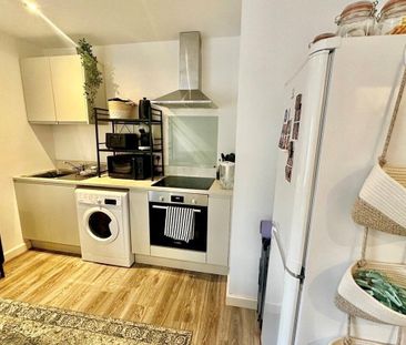 Back Dragon Parade - Photo 4