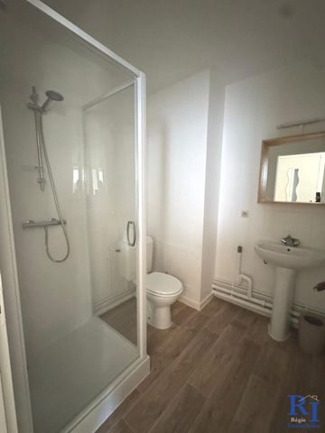 Location Appartement 1 pièce 25m² GRENOBLE 38100 - Photo 4