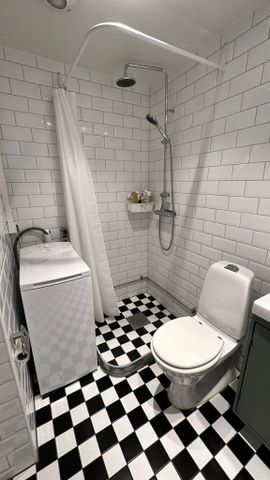 Hässleholmsgatan, Malmö - Photo 4