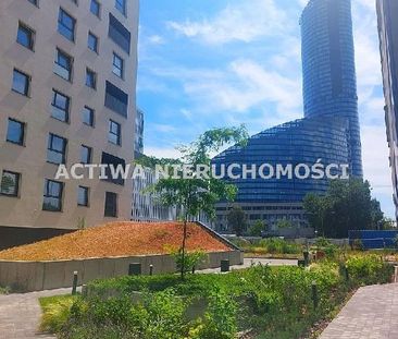 Mieszkanie Zgierz Centrum powierzchnia 18.0 m² C317-WM-50876 - Photo 2