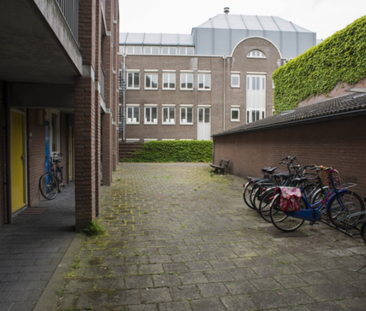 Sint Teunisgang - Photo 4