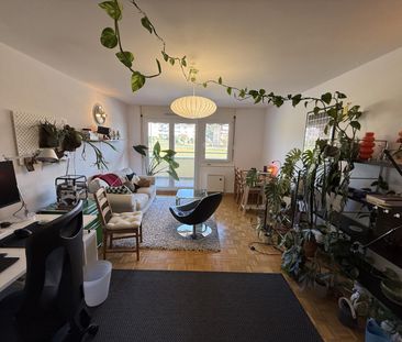 2.5 Zimmer, 55 m², 1. Stock - Foto 2