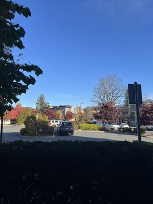 MARKET WAY APTS - 101 - MW101 - Photo 1