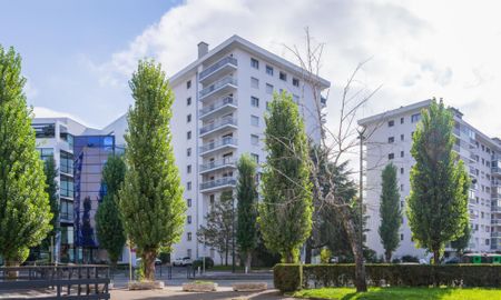 Location appartement 1 pièce - Photo 5