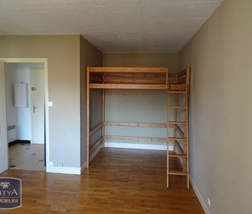 Location Appartement 1 pièce 41m² GRENOBLE 38100 - Photo 2