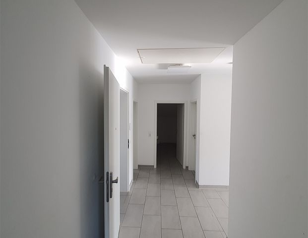 Großzügige Dachgeschosswohnung im Penthouse-Stil in Hoya zu vermieten - Photo 1