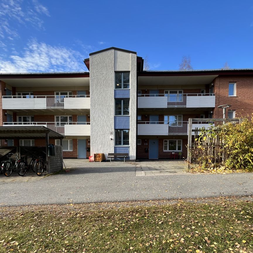 Familjegränd, Skellefteå - Foto 1