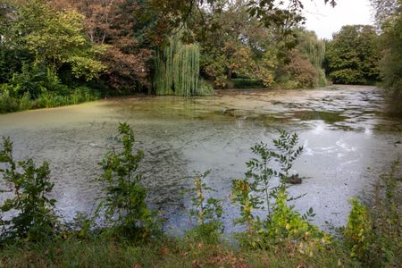 455m² Lejlighed | København K - Foto 4