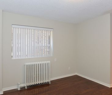 56 Maitland Street - Photo 3