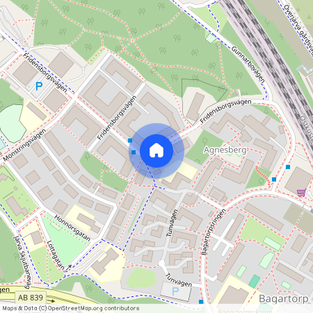 Fridensborgsvägen 11, Ulriksdal