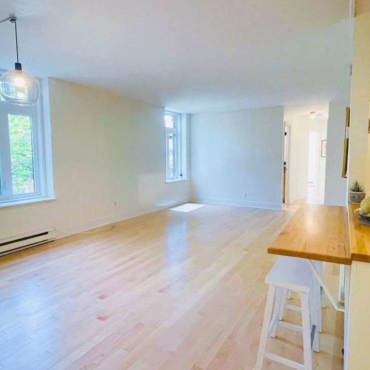 Appartement à louer - Montréal (Mercier/Hochelaga-Maisonneuve) (Hochelaga-Maisonneuve) - Photo 1