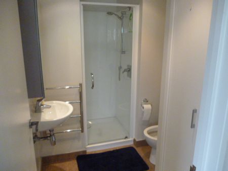 Bright apartment with wrap around balcony - Photo 5