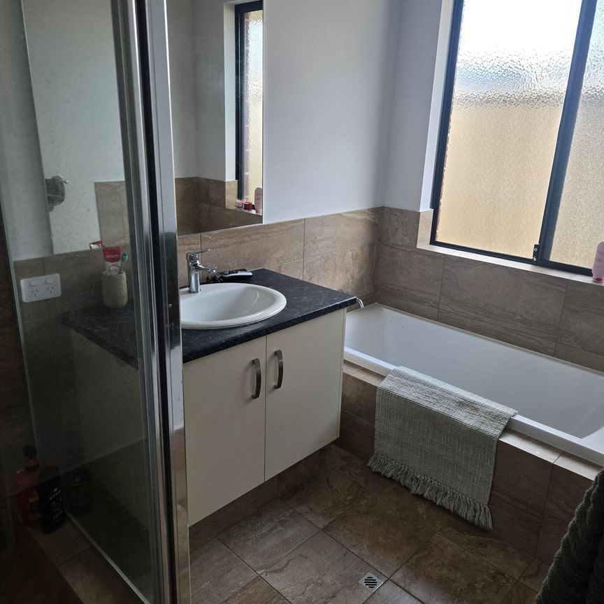 Australind - Photo 2