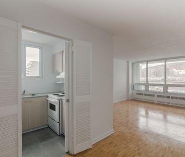 1975 Maisonneuve Blvd West - Photo 2