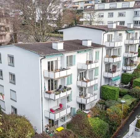 Tolle Wohnung in der Stadt Zürich - Photo 2