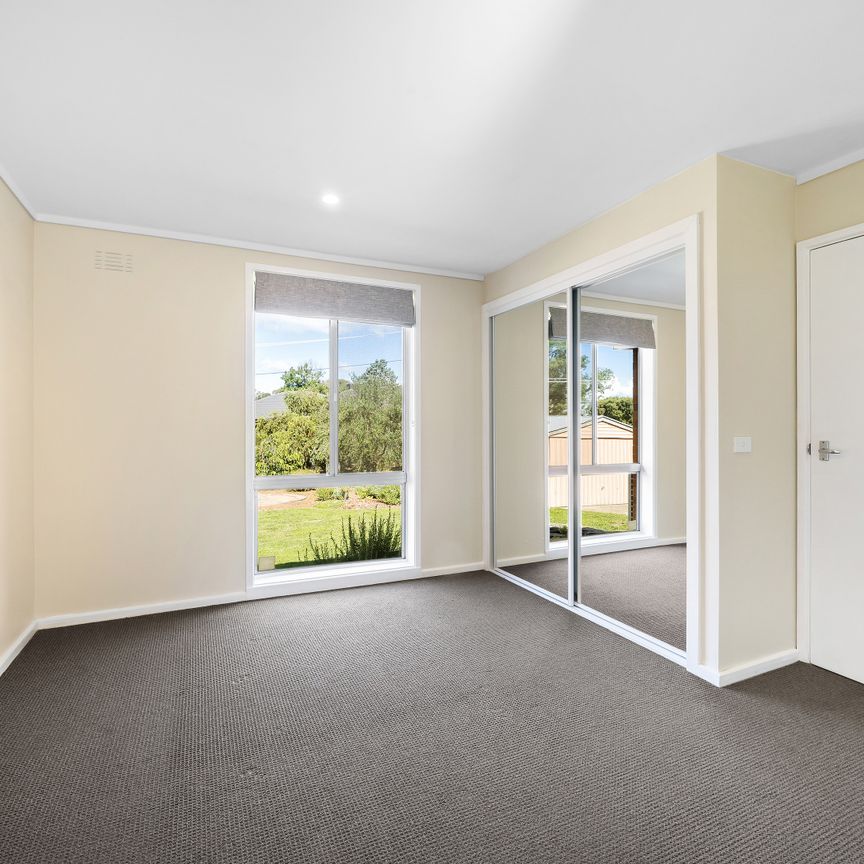 13 Carron Street, Page ACT 2614 - House For Rent | Domain - Photo 1