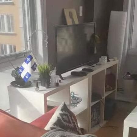 Grand / Big “ 4 1/2 “ au centre ville/ in downtown - Photo 4