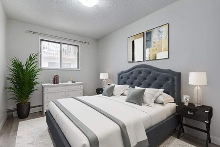 Classic Suite - 1 Bedroom - Photo 2