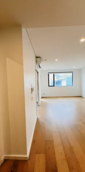 133 Botany Road, Sydney - Photo 1