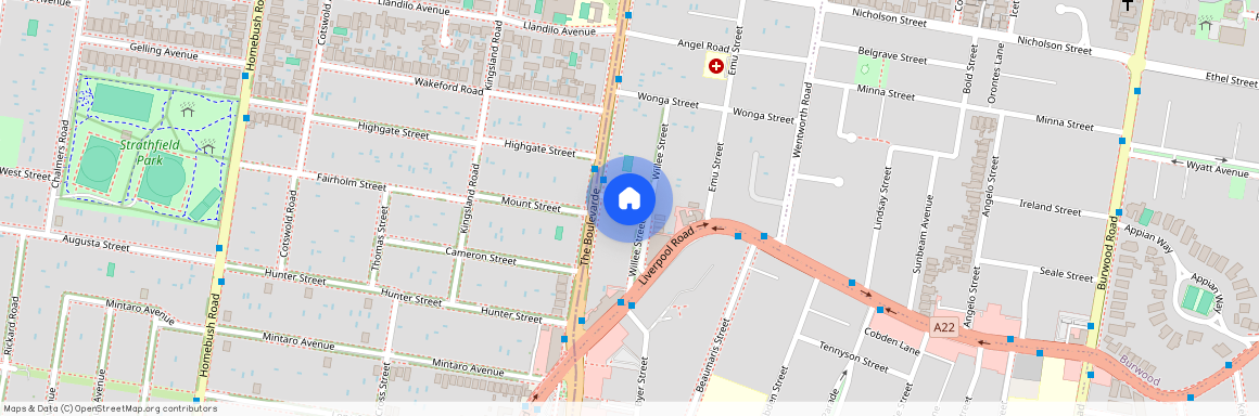 23A Willee Street, NSW 2135, Strathfield