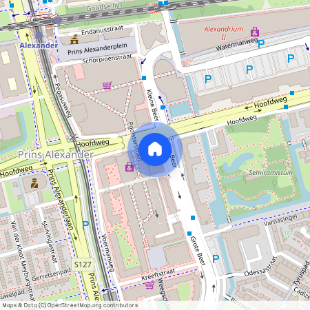 Grote Beer, 3, Rotterdam