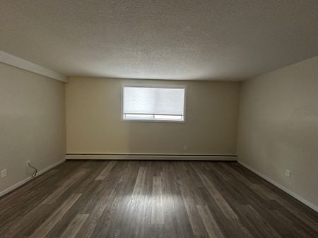 Charming 1 Bed 1 Bath Apartment in heart of DOWNTOWN Red Deer - Photo 4