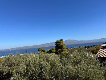 Μονοκατοικία για ενοικίαση Νέα Παλάτια (Ωρωπός) - Photo 5