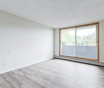 Renovated Suite - 2 Bedroom - Photo 2