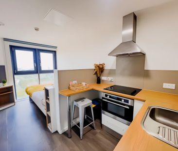 Studio - Bronze - Photo 5