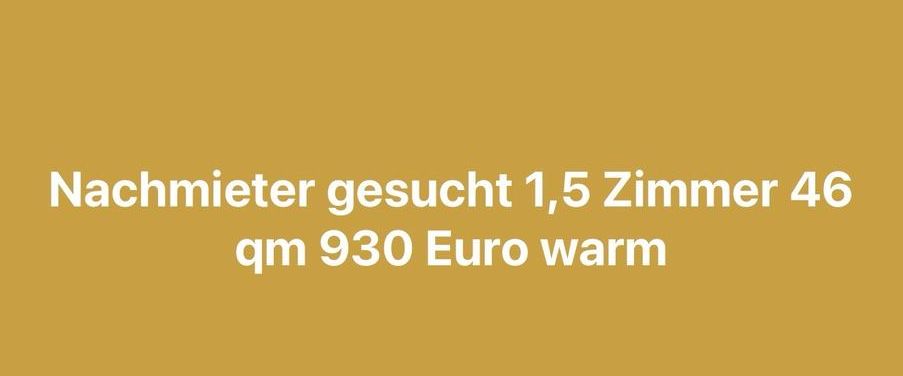 Nachmieter 1,5 Zimmer Wohnung 930 warm in laim - Photo 1