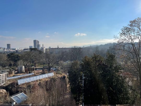 Einmalige Gelegenheit - wunderschöne Loftwohnung beim Zolli - Foto 1