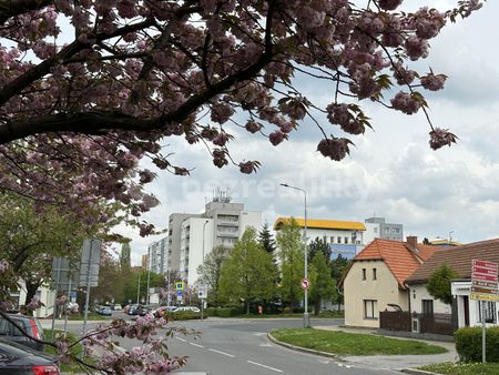 Pronájem bytu 1+kk • 38 m² bez realitkyPraha - Letňany - Photo 5