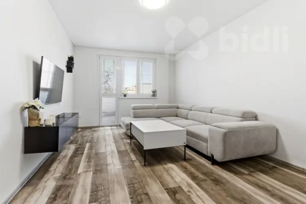 Pronájem, byt 2+1 s lodžií, Sídliště U Nového nádraží, Bílina - Fotografie 1