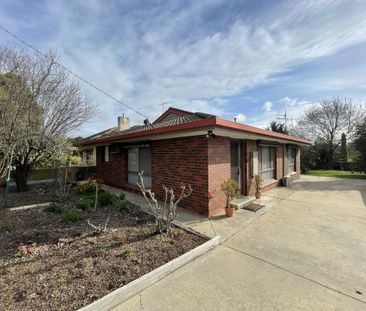 53A Raglan Street, White Hills - Photo 4