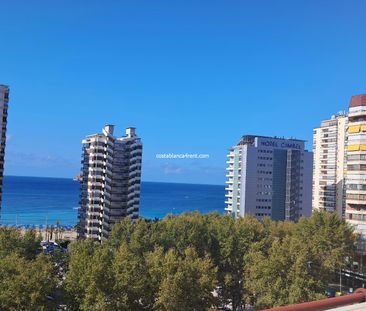 Benidorm Levante Winter and Holiday let - Photo 2