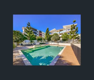 Stylish One-Bedroom Apartment with Study in Everton Park - Photo 2